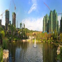 重慶市房地產(chǎn)開發(fā)項(xiàng)目詳情查看指南